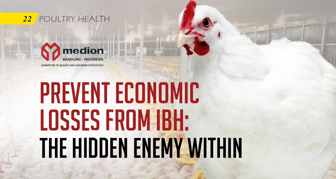 Inclusion Body Hepatitis (IBH): An Economic Threat & Solutions