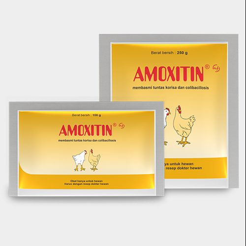 Amoxitin NF