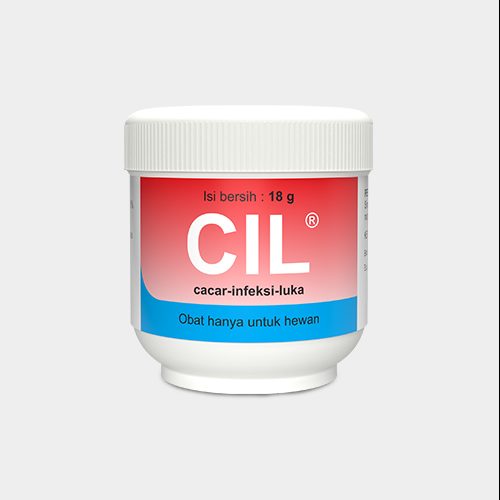 Cil