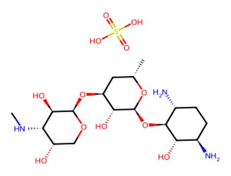 Gentamicin Sulfate Sterile
