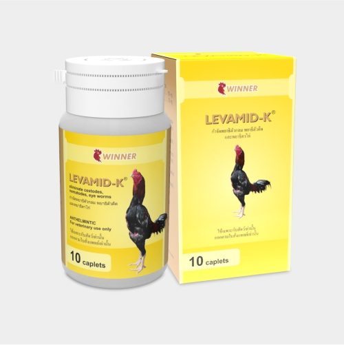 Levamid Kaplet