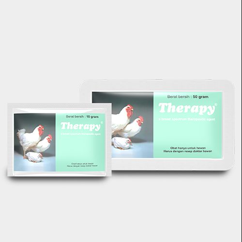 Therapy